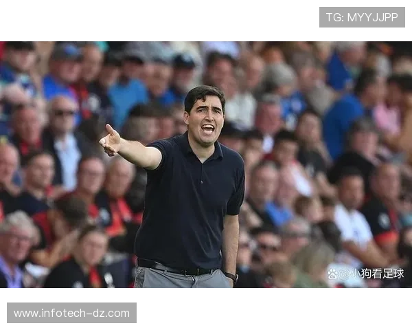 伯恩茅斯伤病名单更新