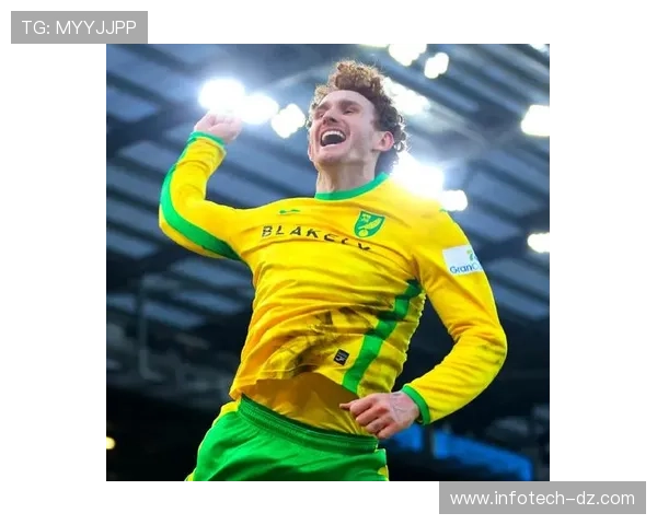 诺维奇美国前锋 诺维奇美国前锋