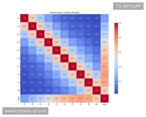 奥利塞战术角色依赖与体系适配性分析